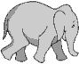 elefanten09