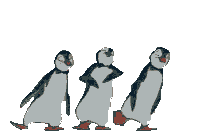 pinguine-0060